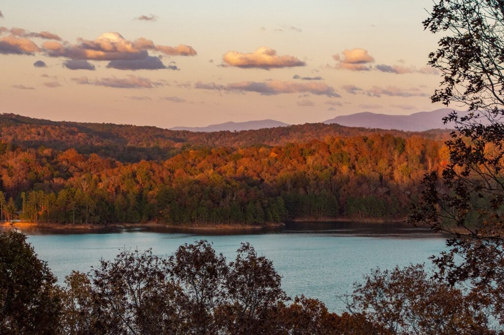 Scenic view of a forested landscape with autumn foliage and a calm lake