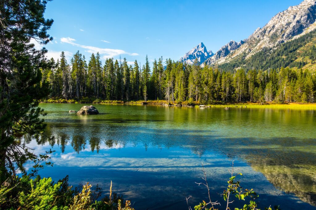 Scenic view of a clear lake surrounded by pine trees, with mountains in the background