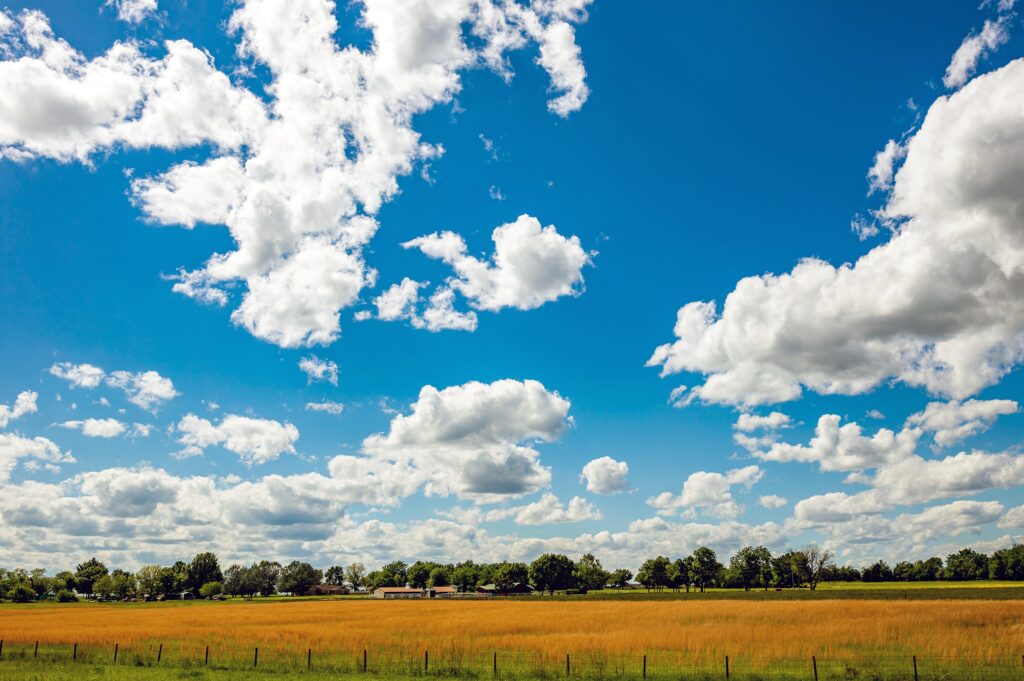 countryside landscape with a golden field under a blue sky filled with clouds