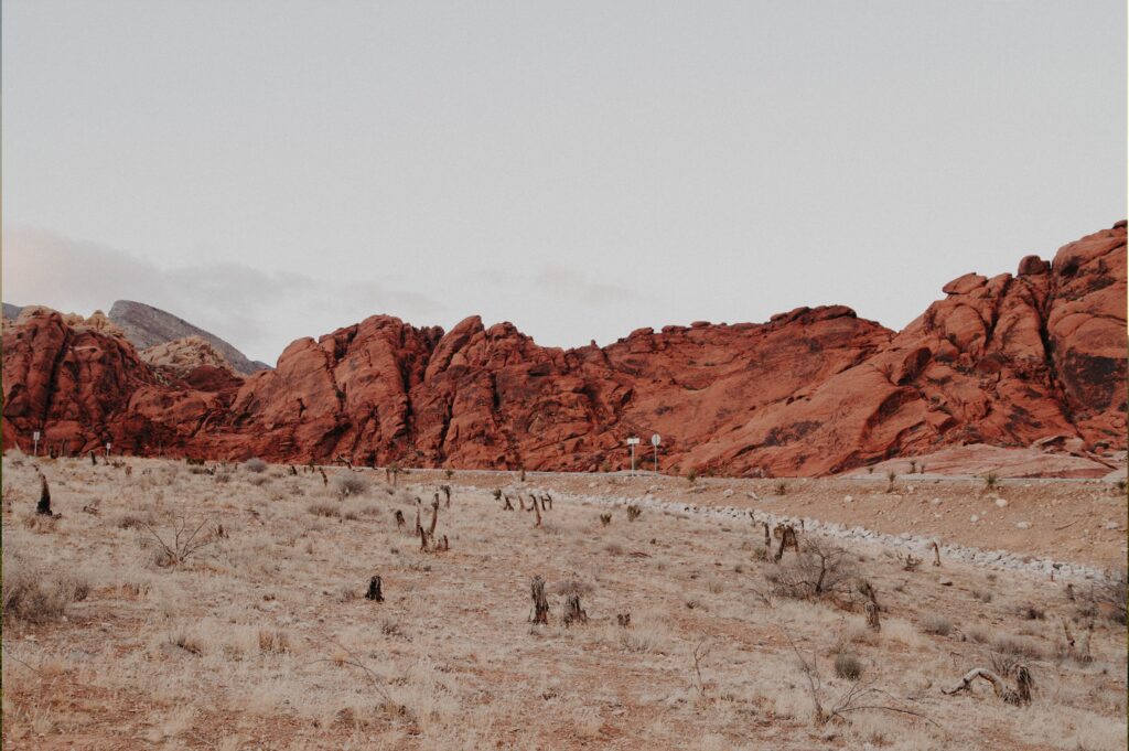 red rock formations in a desert landscape