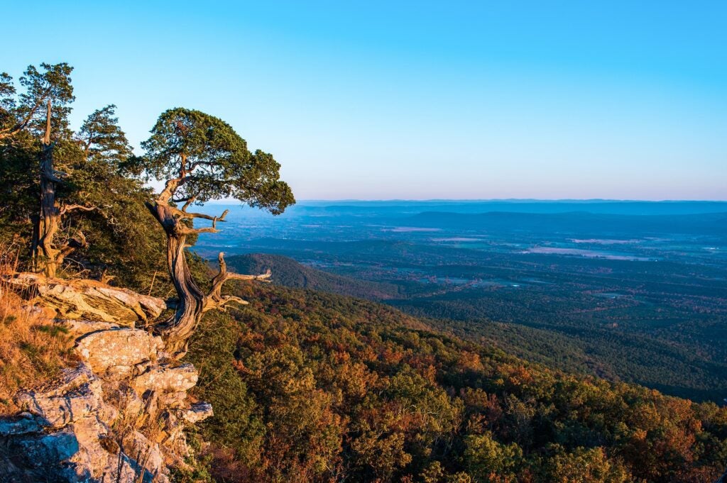 View from a rocky cliff overlooking a vast forested landscape with distant hills