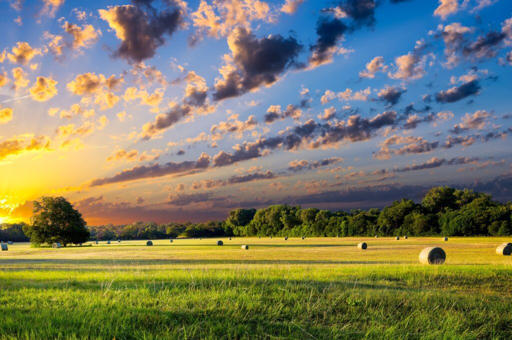 Sunset over a grassy field with scattered hay bales