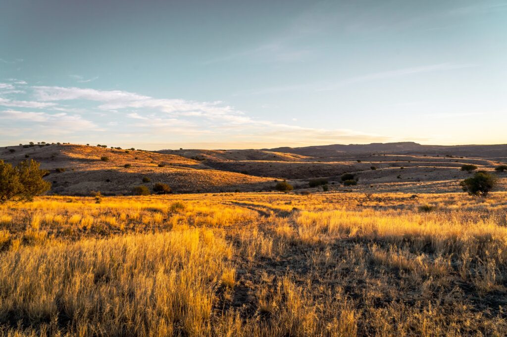 Desert in Texas