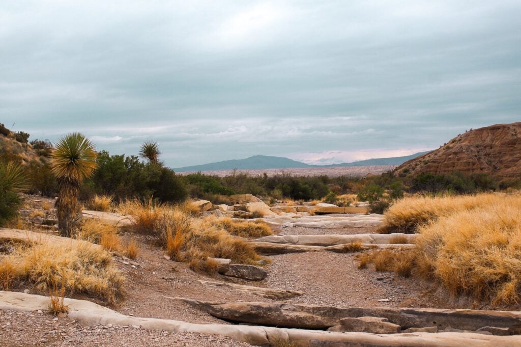 Desert landscape with rocky terrain