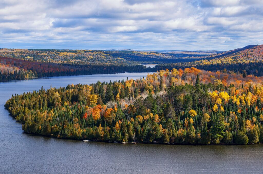 Superior National Forest