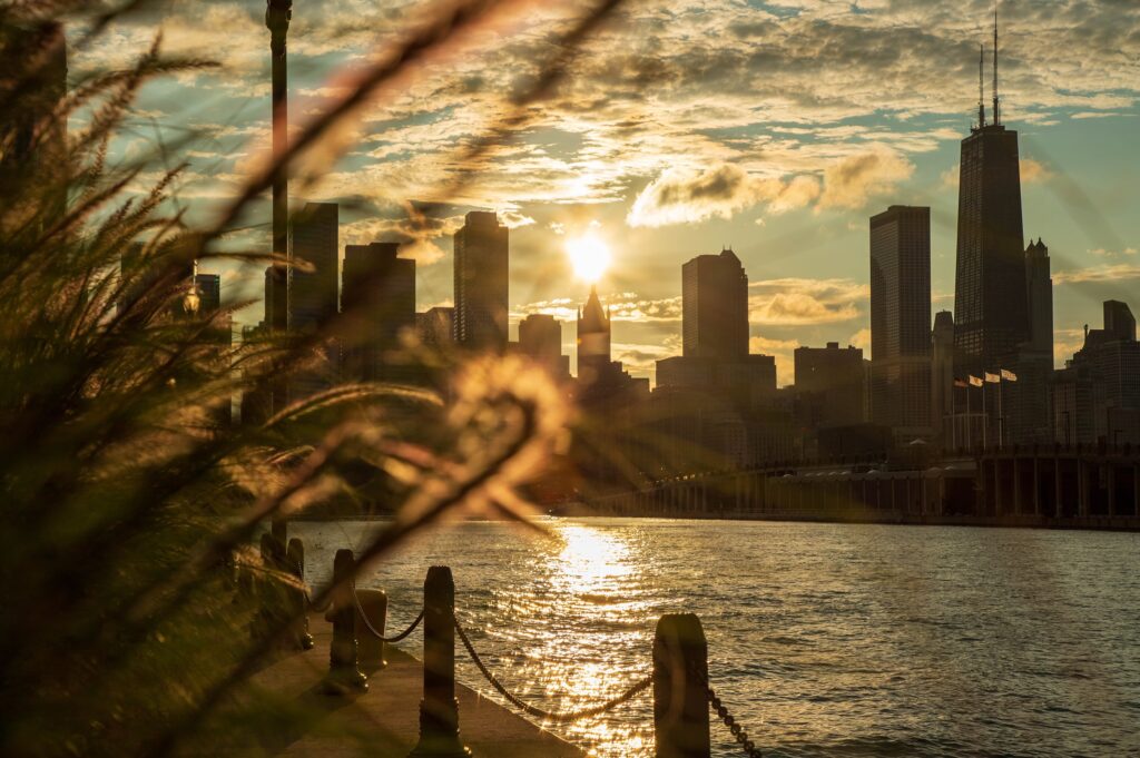 Sunset over a city skyline by the water, with blurred plants in the foreground