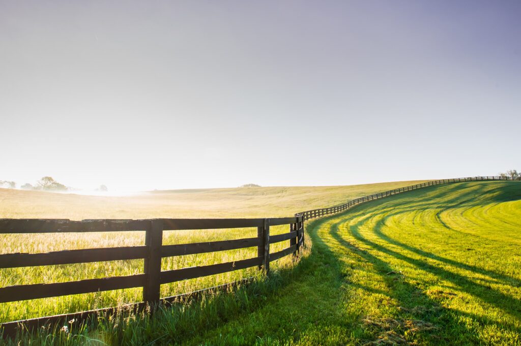 A bright morning landscape of a rolling green field with a wooden fence extending into the distance