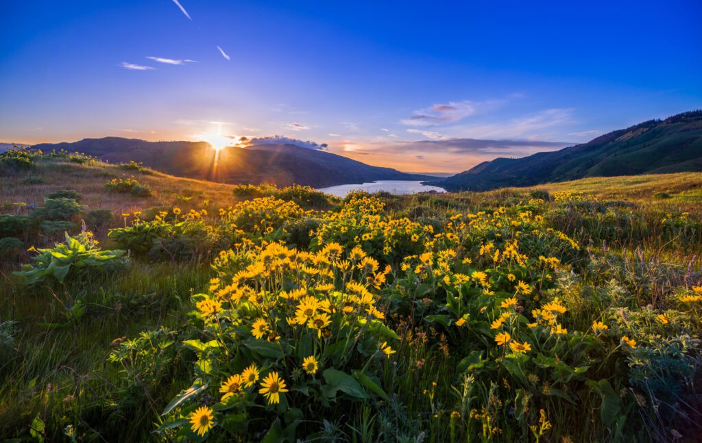 Sunset view between mountains in Oregon