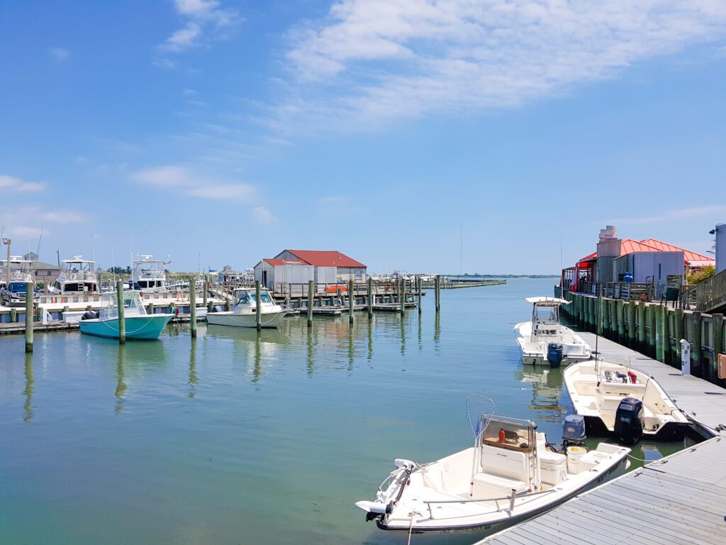 small marina with boats docked