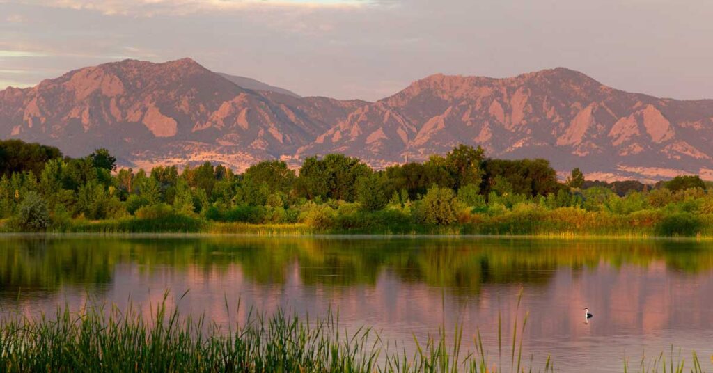 Mountain range, trees, and a duck swimming in a pond