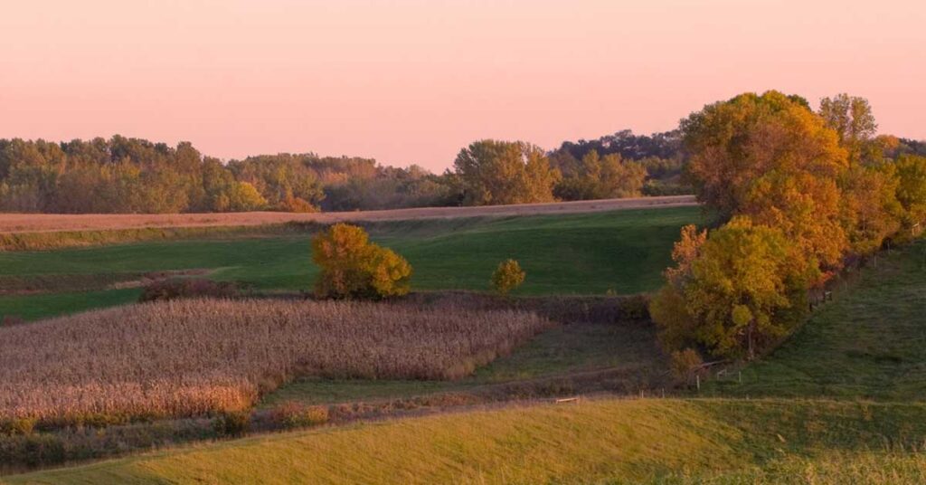 Trees and sunset in Rural Iowa